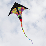 T-Delta Kite - Rainbow Or