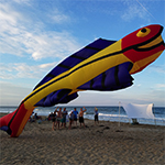Mega Flying Fish Kite