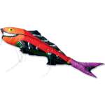 Large Flying Fish - Rainb