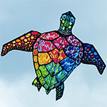 Large Sea Turtle Kite - R