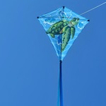 30 in. Diamond Kite - Sea