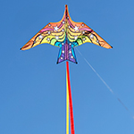 Thunderbird Kite - 60 in.