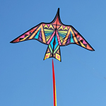 Thunderbird Kite - 60 in.