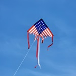 28 in. Fringe Delta Kite
