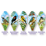 19 in. Pop-Open Balloon -