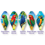 19 in. Pop-Open Balloon -