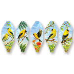 19 in. Pop-Open Balloon -