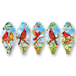 19 in. Pop-Open Balloon -