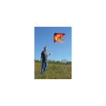 56 in. Stream Delta Kite