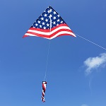 6.5 ft. Delta Kite - Old
