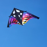 Sweet 16 Delta Kite - Sun