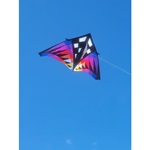 Sweet 16 Delta Kite - Sun