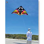 Sweet 16 Delta Kite - Sun