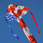 Regular Easy Flyer Kite -