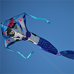 Regular Easy Flyer Kite -