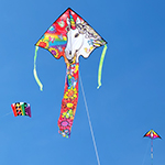 Large Easy Flyer Kite - U