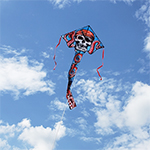 Lg. Easy Flyer Kite - Pir