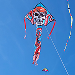 Large Easy Flyer Kite - P