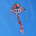 Large Easy Flyer Kite - P