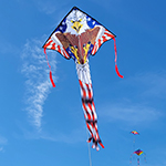 Large Easy Flyer Kite - P