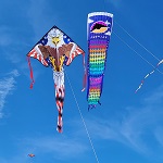 Large Easy Flyer Kite - P