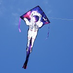 Lg. Easy Flyer Kite - Ast