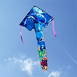 Lg. Easy Flyer Kite - Dol