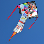 Large Easy Flyer Kite - D