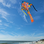 Large Easy Flyer Kite - M