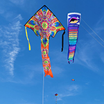 Large Easy Flyer Kite - M