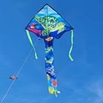 Large Easy Flyer Kite - S