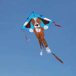 Lg. Easy Flyer Kite - Spa