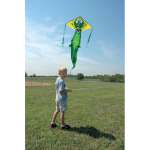 Reg. Easy Flyer Kite - Al
