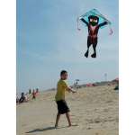 Lg. Easy Flyer Kite - Fly