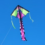 Lg. Easy Flyer Kite - Tro