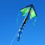 Lg. Easy Flyer Kite - Lim