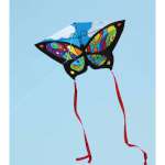 Butterfly Kite - Rainbow