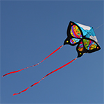 Butterfly Kite - Rainbow