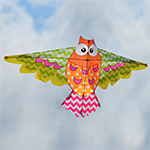 Rainbow Owl Kite