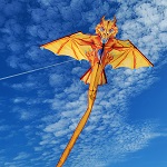 2D Dragon Kite - Flamewin
