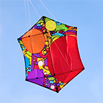 56 in. Rokkaku Kite - Rai