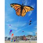 Giant Monarch Butterfly K