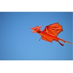 3D Dragon Kite - Embersca