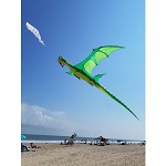 Giant Dragon Kite - Green