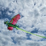 3D Dragon Kite - Story Bo