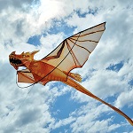 3D Dragon Kite - Goldensc