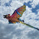 3D Dragon Kite - Night Fi