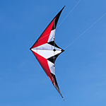 Raptor Sport Kite - Tecmo